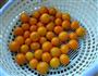 糖渍金桔的做法图解2