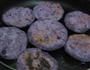 紫薯芝麻饼的做法图解7