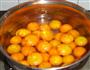 糖渍金桔的做法步骤4