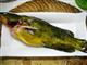 清蒸黄颡鱼的做法图解2