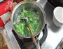 菠菜虾皮粉丝汤的做法图解2