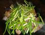 蒜苗炒腊肉的做法图解6