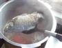 淮山胡萝卜鲫鱼汤的做法图解6