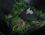 芹菜炒虾的做法图解5