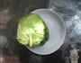 爆圆白菜的做法图解1
