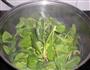 凉拌菠菜的做法图解4