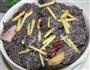 黑米粉蒸肉的做法图解4