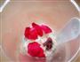 玫瑰佳人的做法图解5