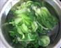 香菇青菜包的做法步骤10