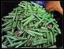 蒜香豆角的做法图解4