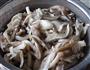 干煸平菇的做法图解4