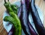 酱烧茄子的做法图解1