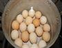 啤酒煮鸡蛋的做法图解2