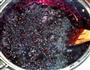 桑葚果酱的做法图解11