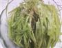 翡翠莴苣丝的做法图解3