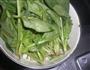 老醋菠菜的做法图解1