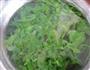 凉拌芹菜叶的做法图解4