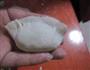 韭菜鸡蛋饺子的做法图解10