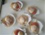 蒜蓉粉丝蒸扇贝的做法图解4