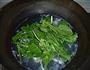 青菜肉丝小煮面的做法图解6