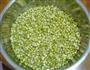泡发绿豆芽的做法图解8