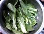 青菜瑶柱豆腐汤的做法图解3