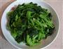 姜汁菠菜的做法图解8