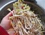 生发绿豆芽的做法图解17