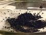 烤黑芝麻的做法图解6