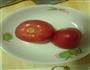 西红柿煎豆腐的做法图解1