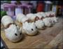 牛奶香肠馒头卷的做法图解10