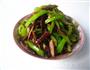 徽茶干青椒肉丝的做法图解12