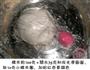 猫爪汤圆的做法图解1