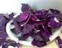 紫泡菜的做法图解2