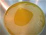 厚蛋烧的做法图解5