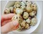 五香鹌鹑蛋的做法图解4