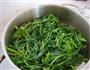 蒜蓉空心菜的做法图解4