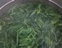 凉拌菠菜鸡蛋丝的做法图解1