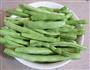 干煸肉末四季豆的做法图解1