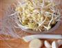 黄豆芽炖粉条的做法图解1