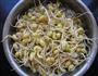 自制黄豆芽的做法图解7