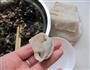蒸荠菜鲜肉馄饨的做法图解8