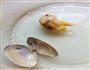 蛤蜊疙瘩汤的做法图解4