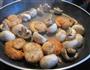 姜葱扇贝蘑菇的做法图解9