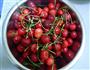 糖水樱桃的做法图解1