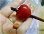 糖水樱桃的做法图解2