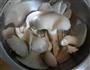 啤酒炖菌菇鸡块的做法图解3