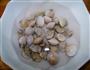 蛤蜊烩银丝的做法图解1