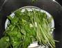 素炒空心菜的做法图解1