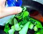家常清炒油菜的做法图解4